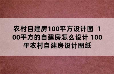 农村自建房100平方设计图  100平方的自建房怎么设计 100平农村自建房设计图纸